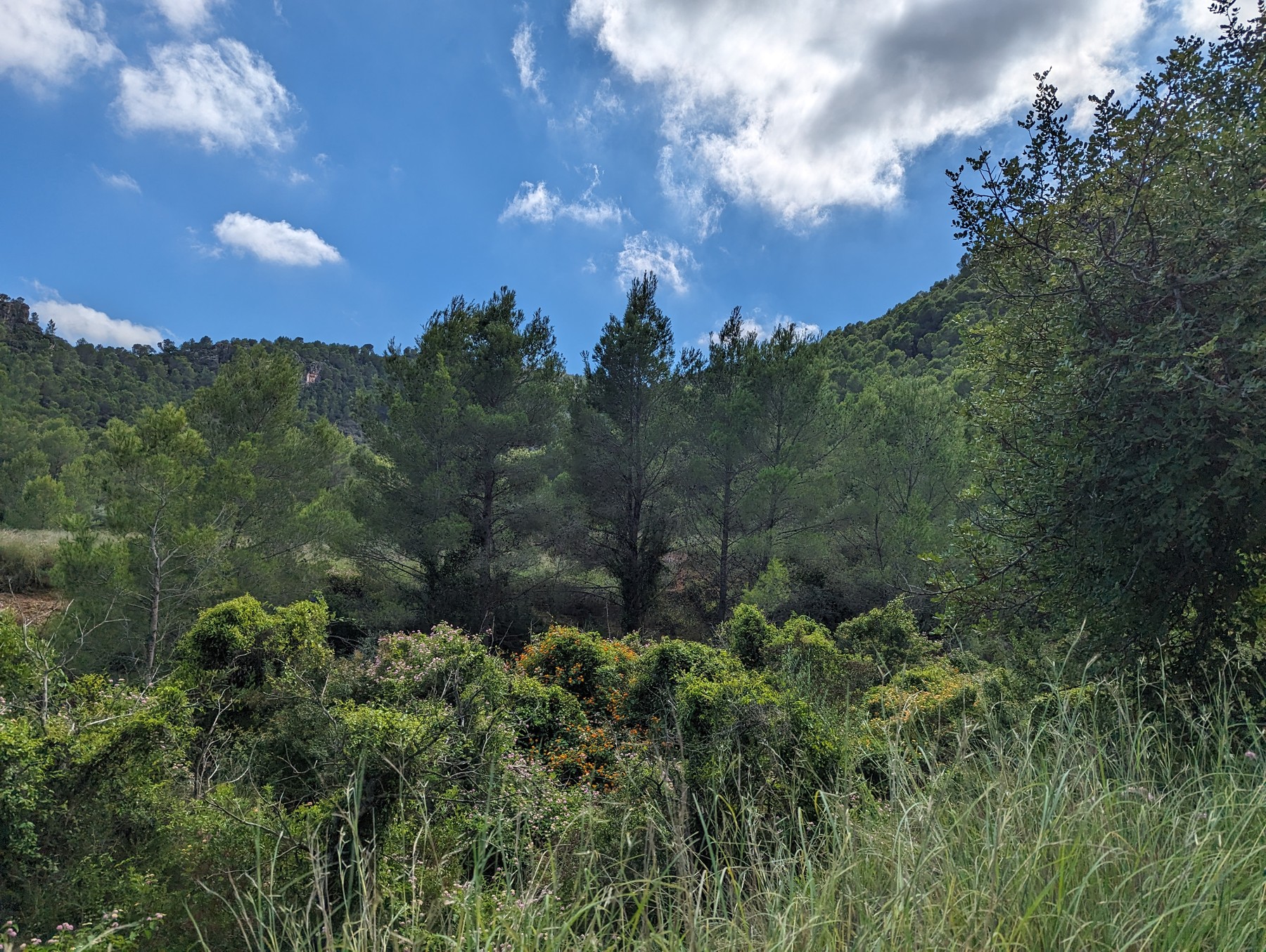 Local hiking Marxuquera